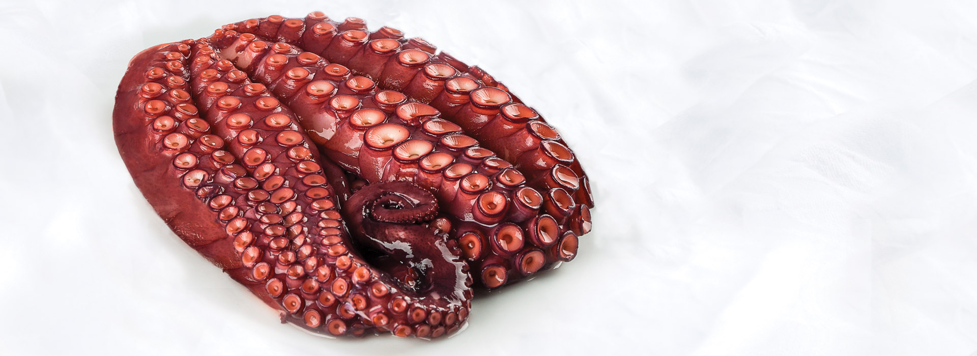 o-pulpeiro-pulpo-cocido-2