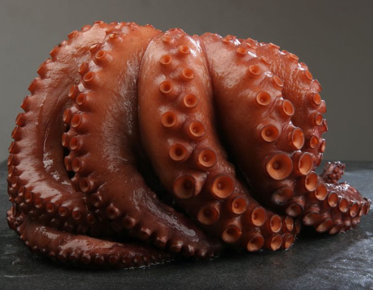 Pulpo O Pulpeiro pulpo-o-pulpeiro